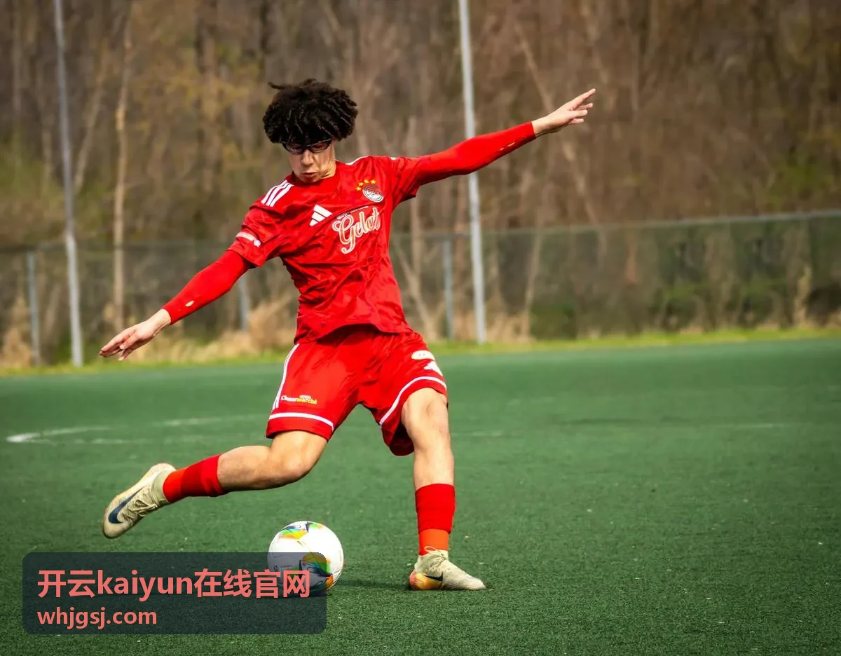 开云kaiyun在线官网顶部导航与频道入口示意