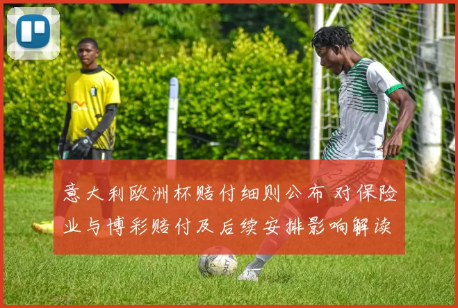 意大利欧洲杯赔付细则公布 对保险业与博彩赔付及后续安排影响解读