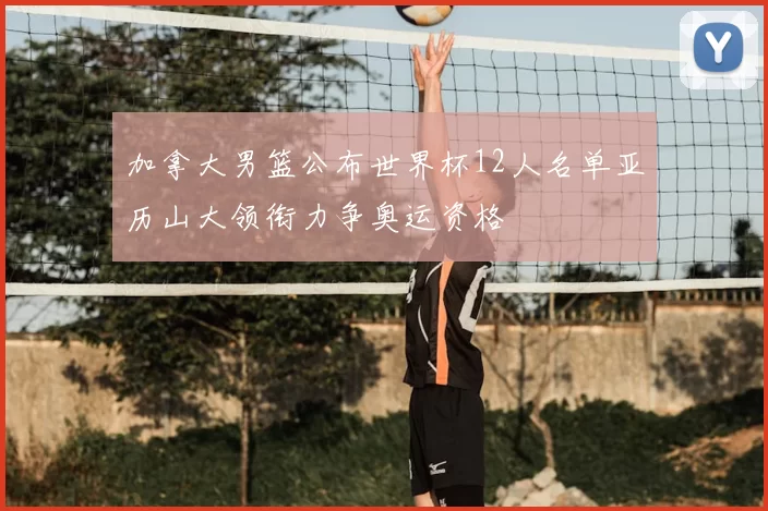 加拿大男篮公布世界杯12人名单亚历山大领衔力争奥运资格