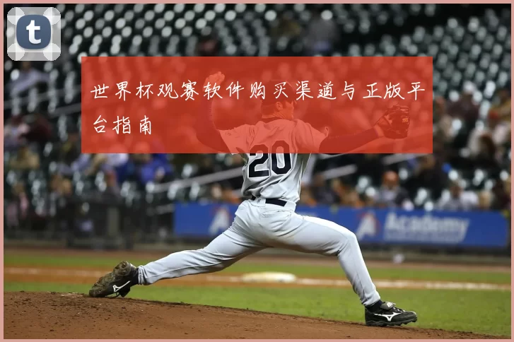 世界杯观赛软件购买渠道与正版平台指南