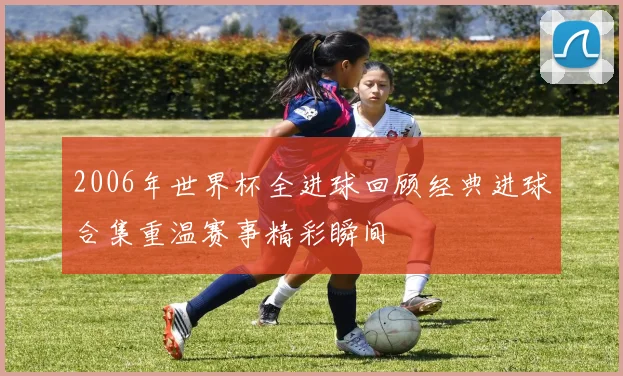 2006年世界杯全进球回顾经典进球合集重温赛事精彩瞬间