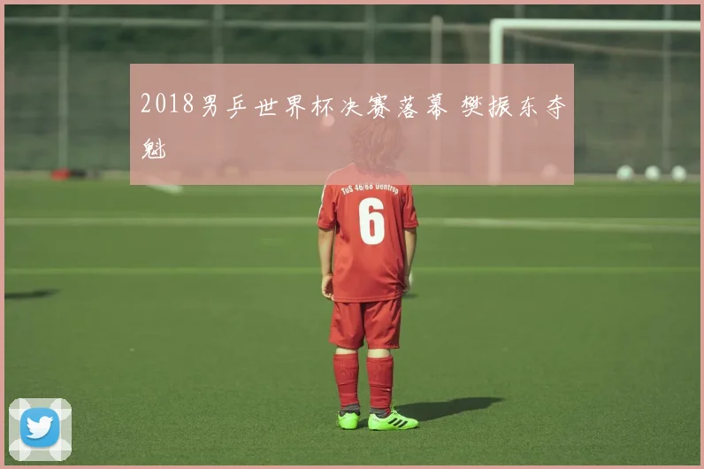 2018男乒世界杯决赛落幕 樊振东夺魁